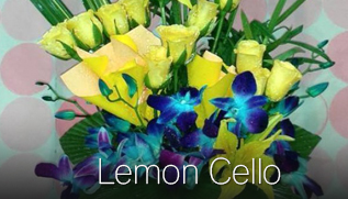 Lemon Cello_317X181