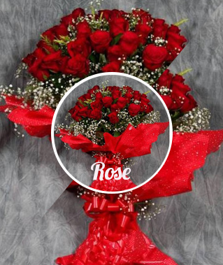 Rose_319x379