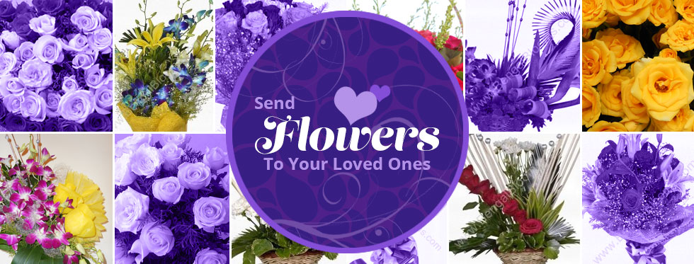 Flowers_FEB2018_980x373