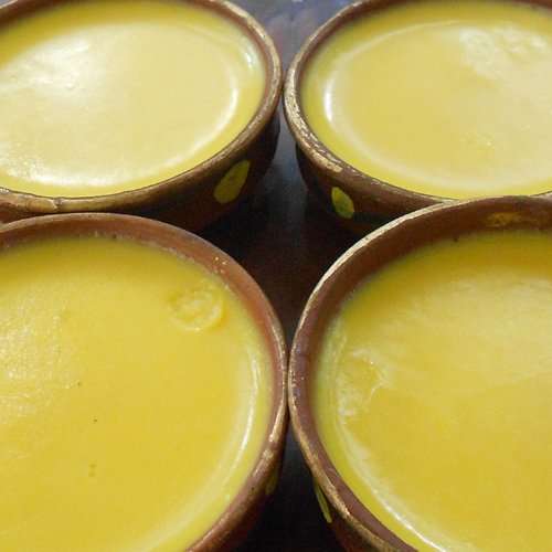Mango Doi